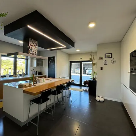 Villa Pinheiros House By Alponte Moncao